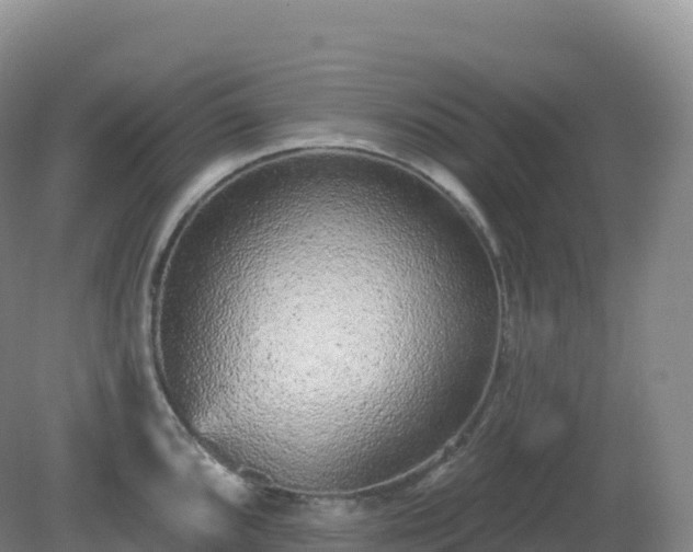 X0000081341096200701182014