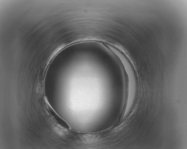 X0000081341097200701182014