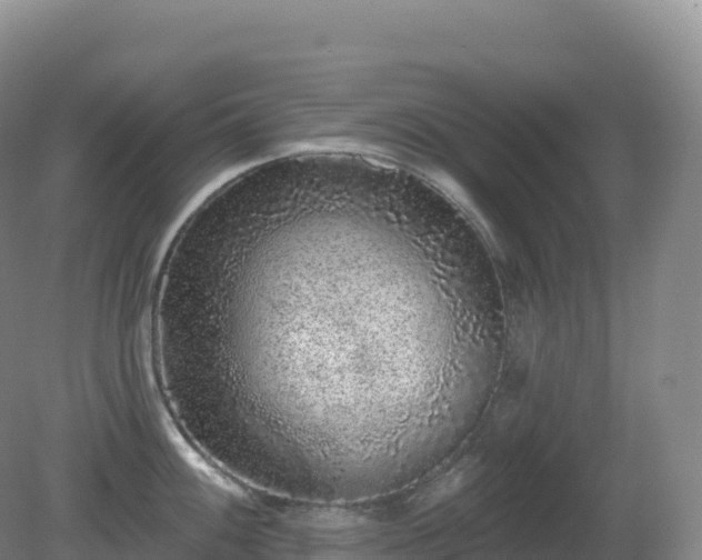 X0000081341100200701182014