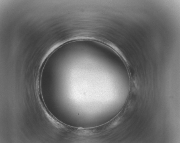 X0000081341101200701182014