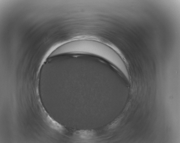 X0000081341102200701182014