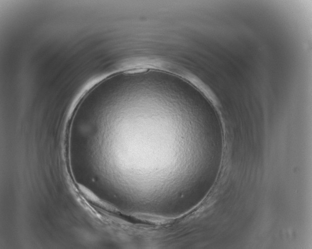 X0000081341104200701182014