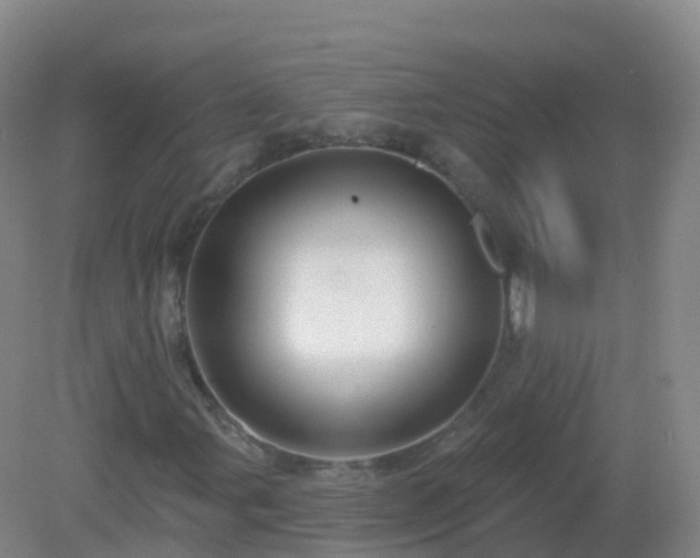 X0000081341107200701182013