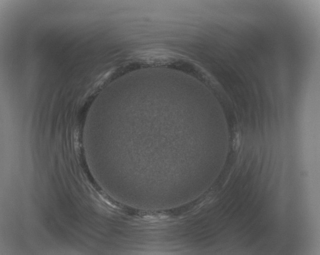 X0000081341108200701182013