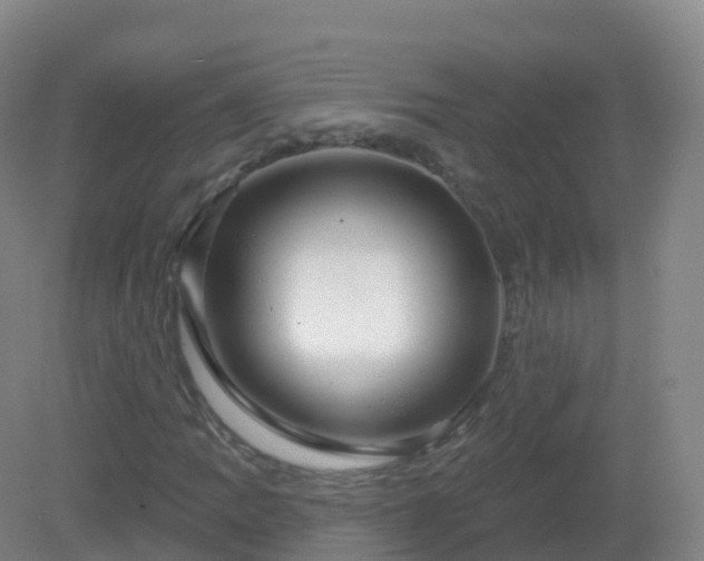 X0000081341109200701182013