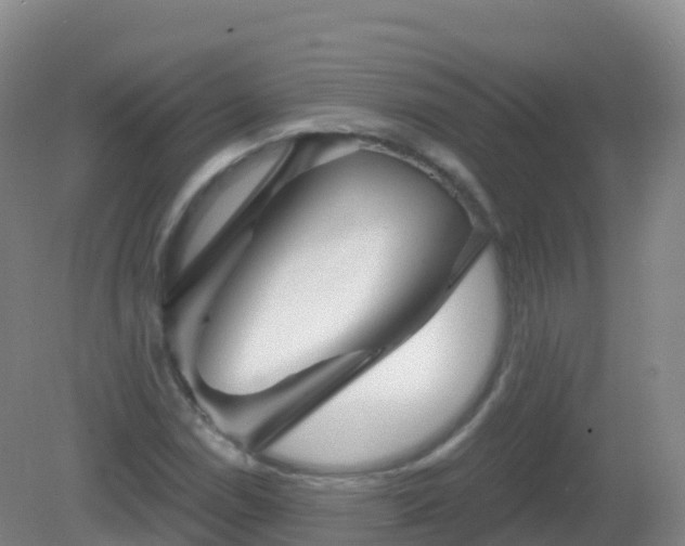 X0000081341114200701182013