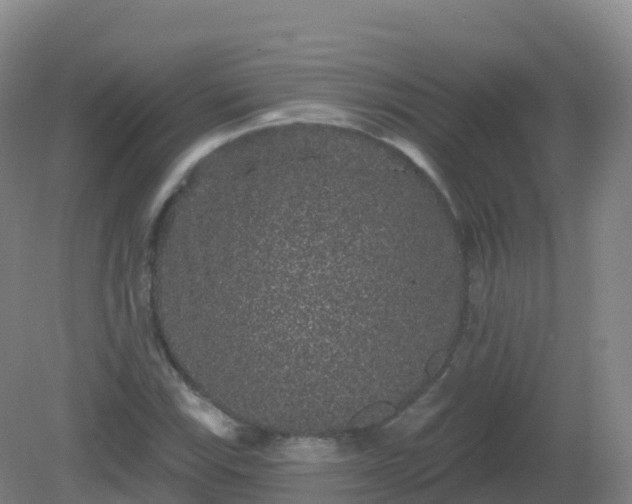 X0000081341115200701182013
