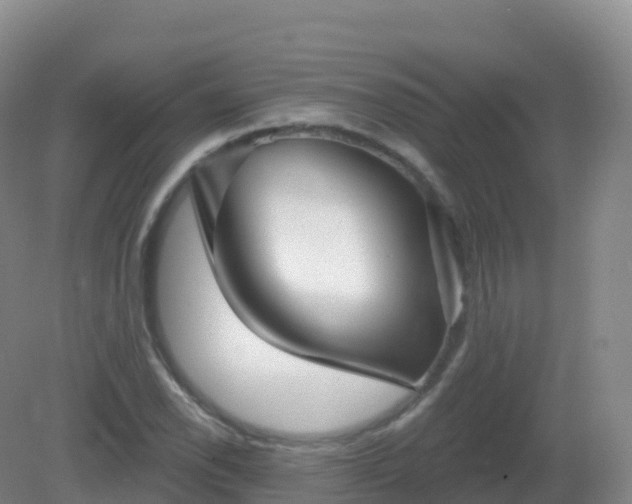 X0000081341118200701182013