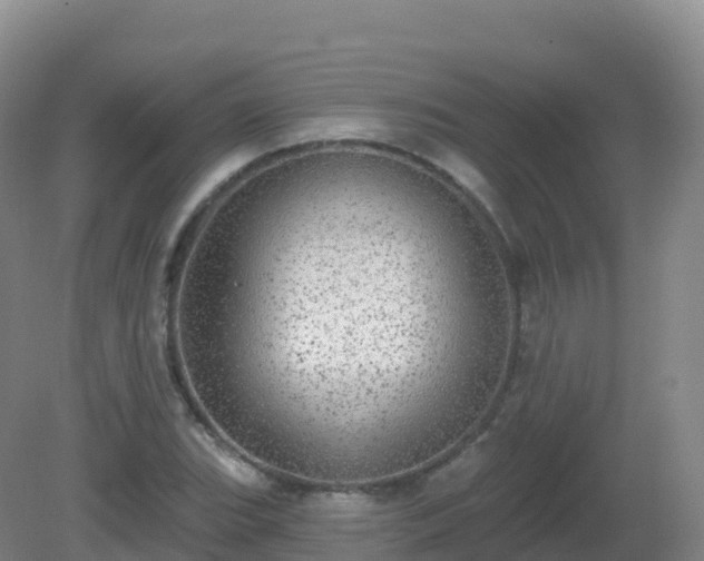 X0000081341119200701182013