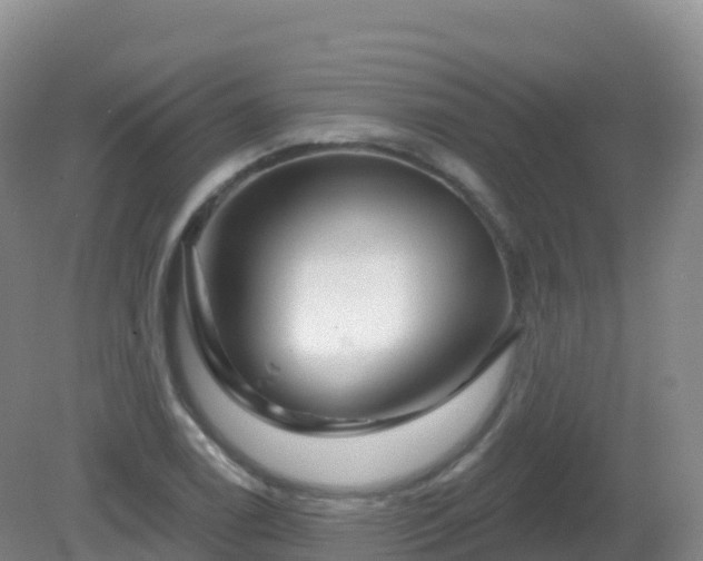 X0000081341122200701182013