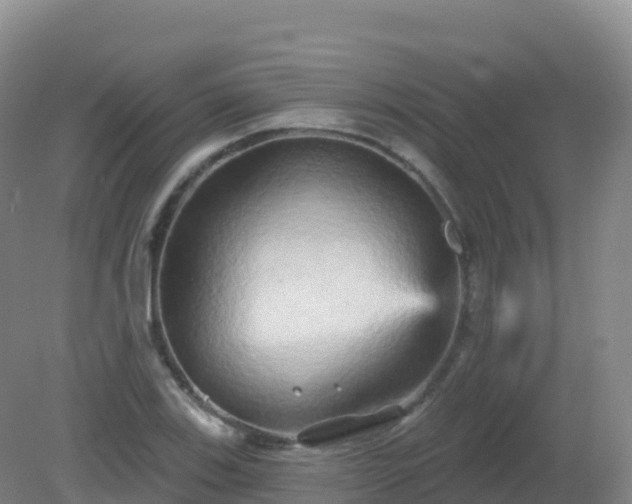 X0000081341123200701182013