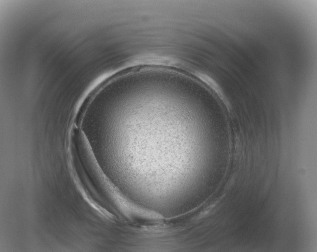 X0000081341128200701182013