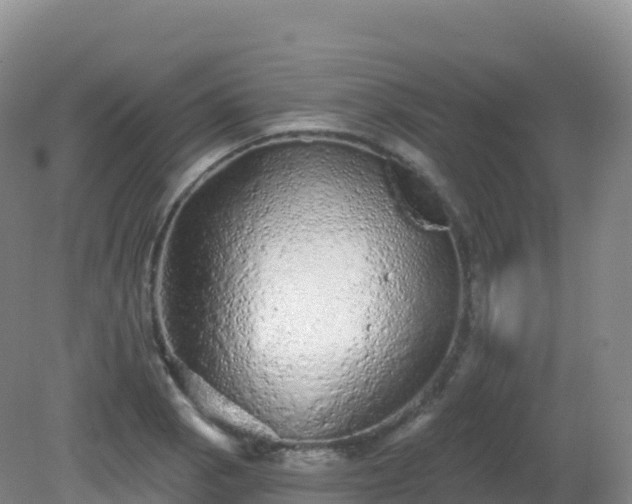 X0000081341129200701182013