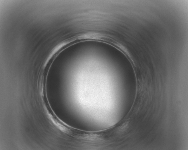 X0000081341131200701182013