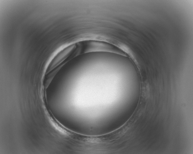 X0000081341136200701182014