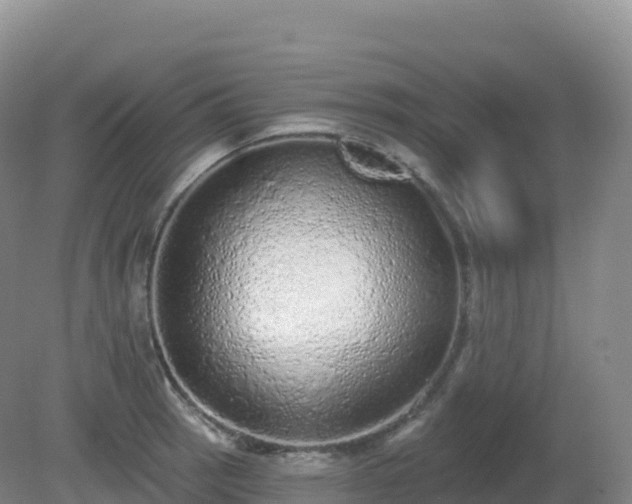 X0000081341137200701182014