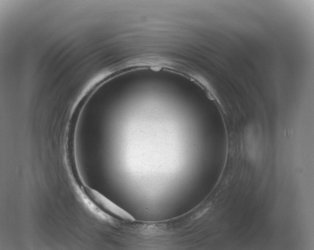 X0000081341139200701182014