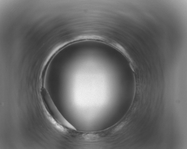 X0000081341140200701182014