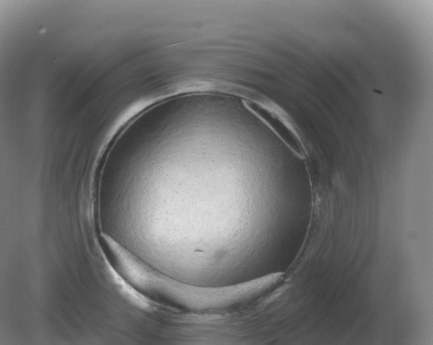 X0000081341143200701182014