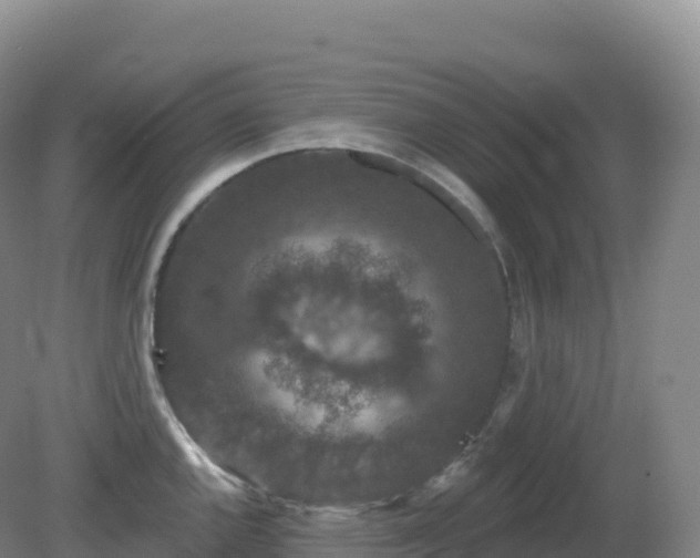 X0000081341144200701182014