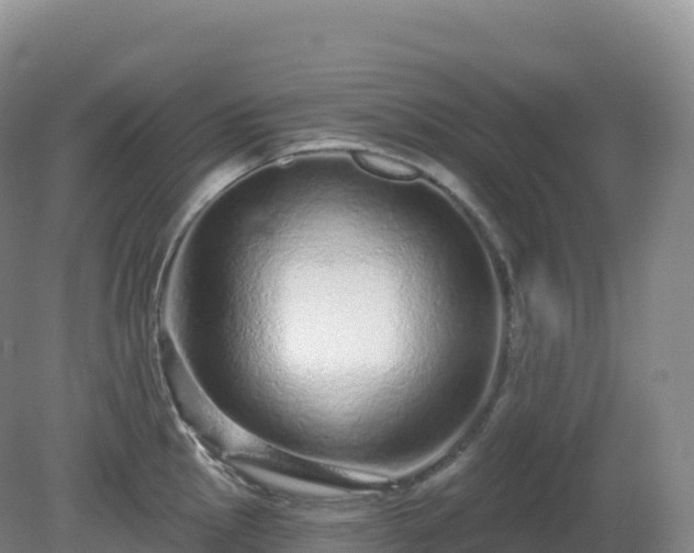 X0000081341145200701182014