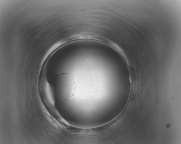 X0000081341146200701182014