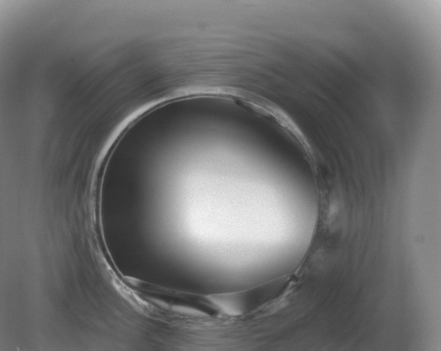 X0000081341148200701182014