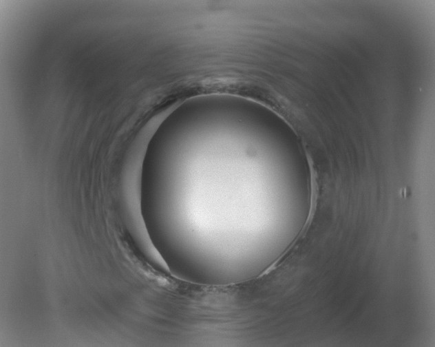X0000081341153200701182013