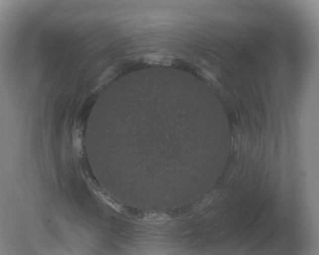 X0000081341154200701182013