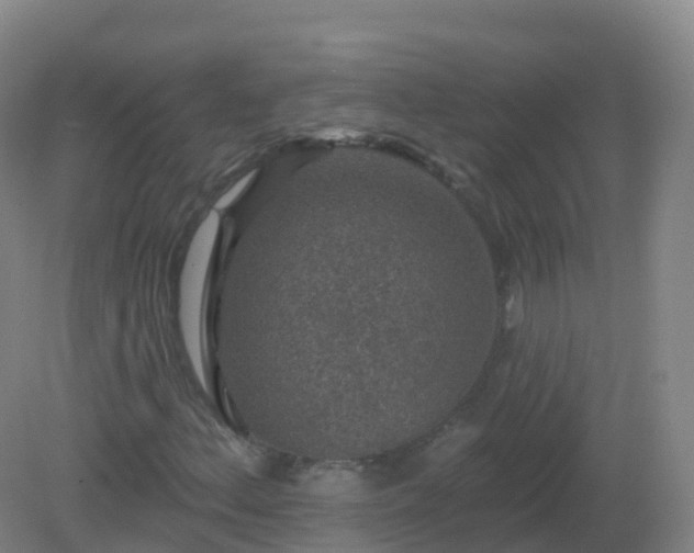 X0000081341156200701182013