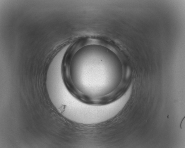 X0000081341157200701182013