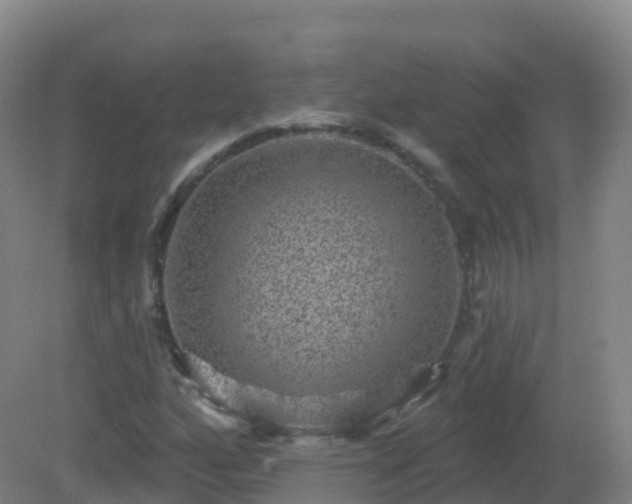 X0000081341160200701182013