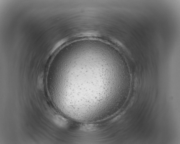 X0000081341162200701182013