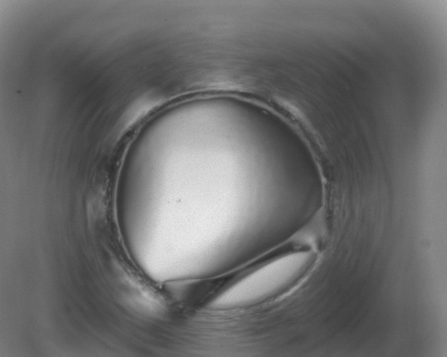 X0000081341163200701182013