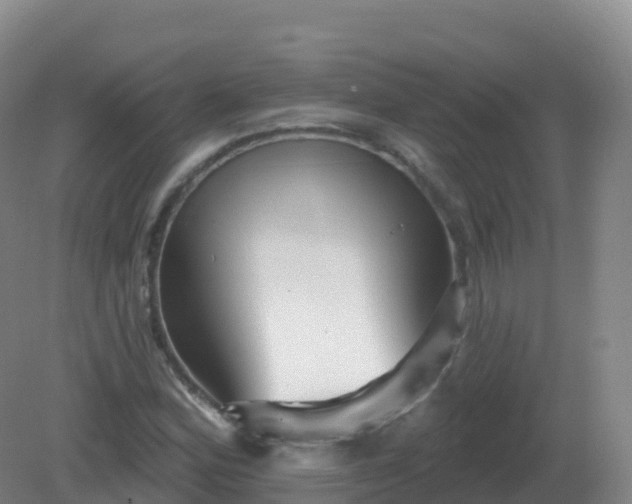 X0000081341164200701182013