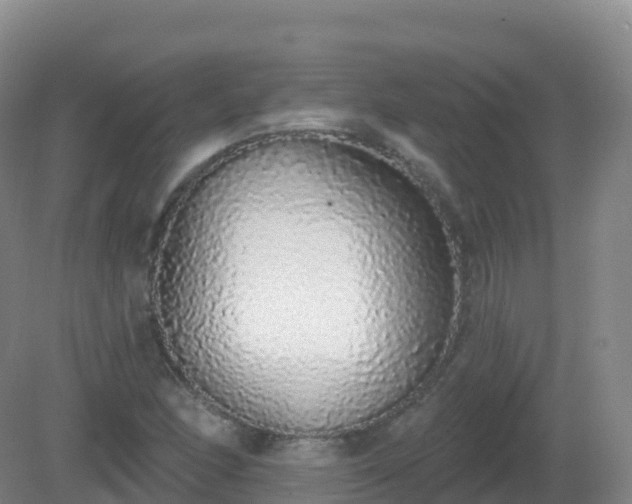 X0000081341166200701182013