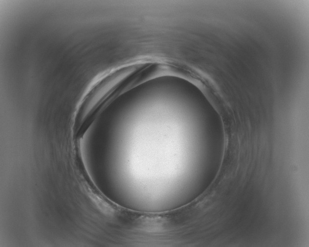 X0000081341168200701182013