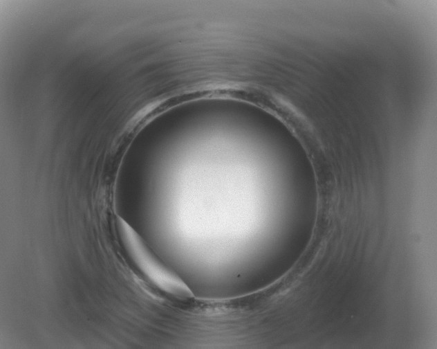 X0000081341169200701182013