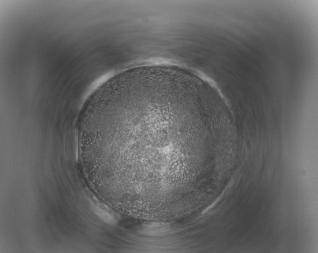 X0000081341171200701182013