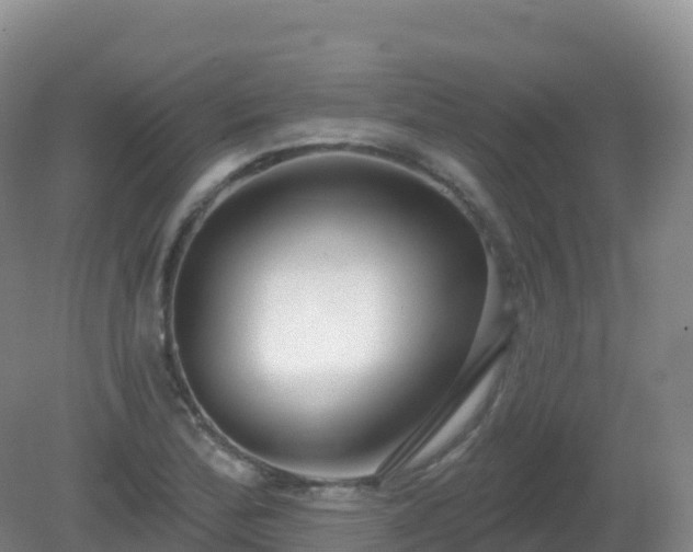 X0000081341172200701182013