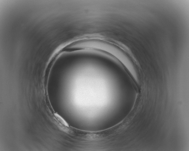 X0000081341176200701182013