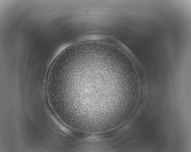 X0000081341178200701182013