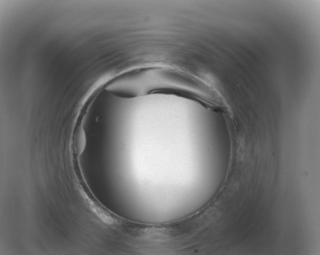 X0000081341181200701182013