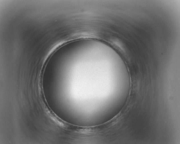 X0000081341182200701182013