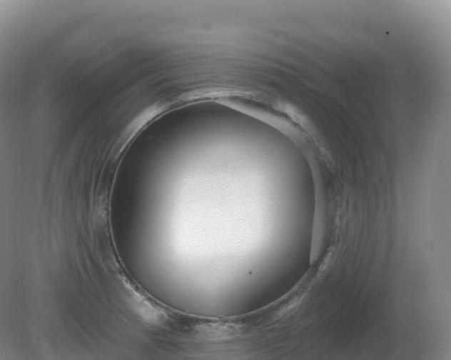 X0000081341185200701182012