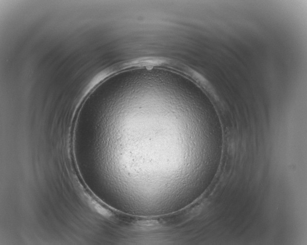 X0000081341186200701182012