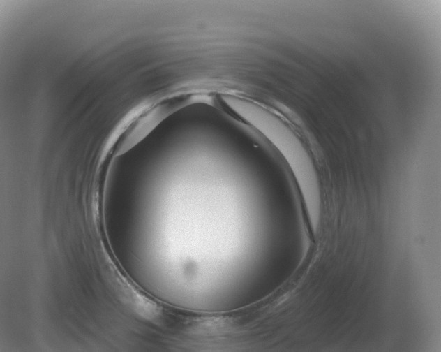 X0000081341188200701182012