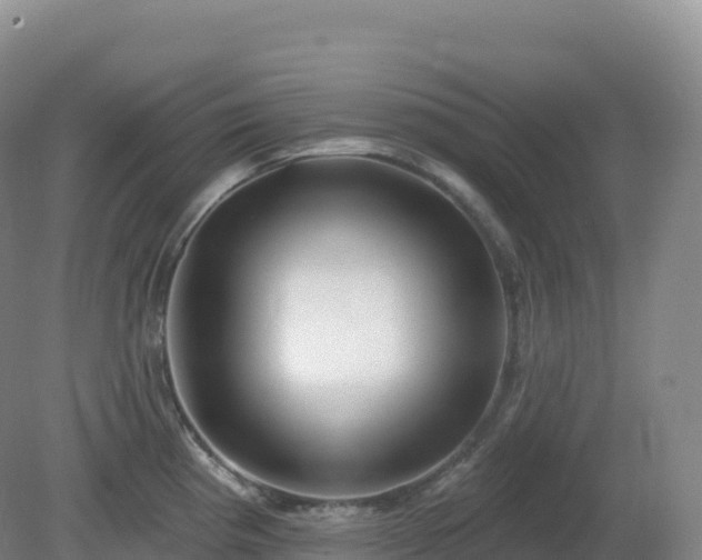 X0000081341193200701182012