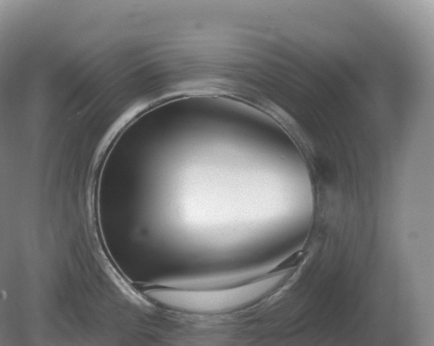X0000081341196200701182012