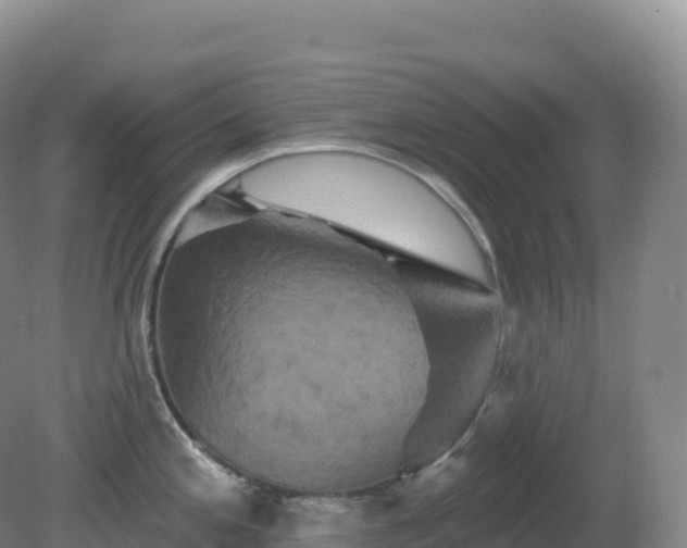 X0000081341197200701182012